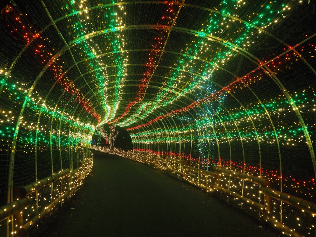 Lehighvalleyzoo Tour Light Tunnel Colorful Decorations