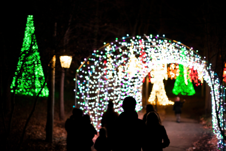 meadowbrookhall_tour-holiday-lights-archway-green-trees Meadowbrookhall Tour Holiday Lights Archway Green Trees