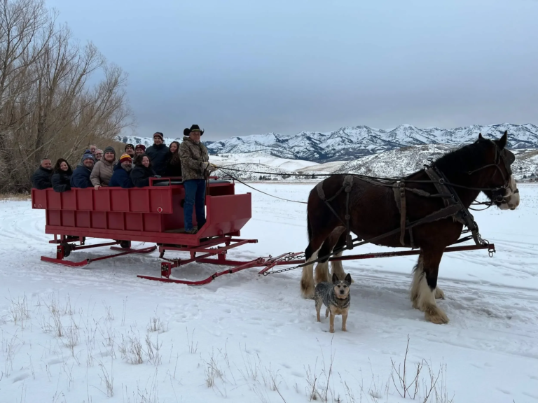Morgansleighnwagonrides Tour Sleigh Ride Horse Snow Mountains