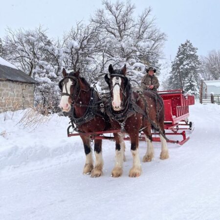 Morgansleighnwagonrides Tour Sleigh Ride Horses Snow