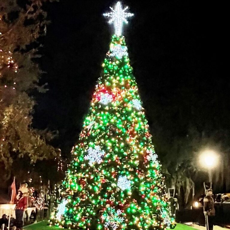 Mountdoratransit Tour Christmas Tree Lights Snowflakes Night