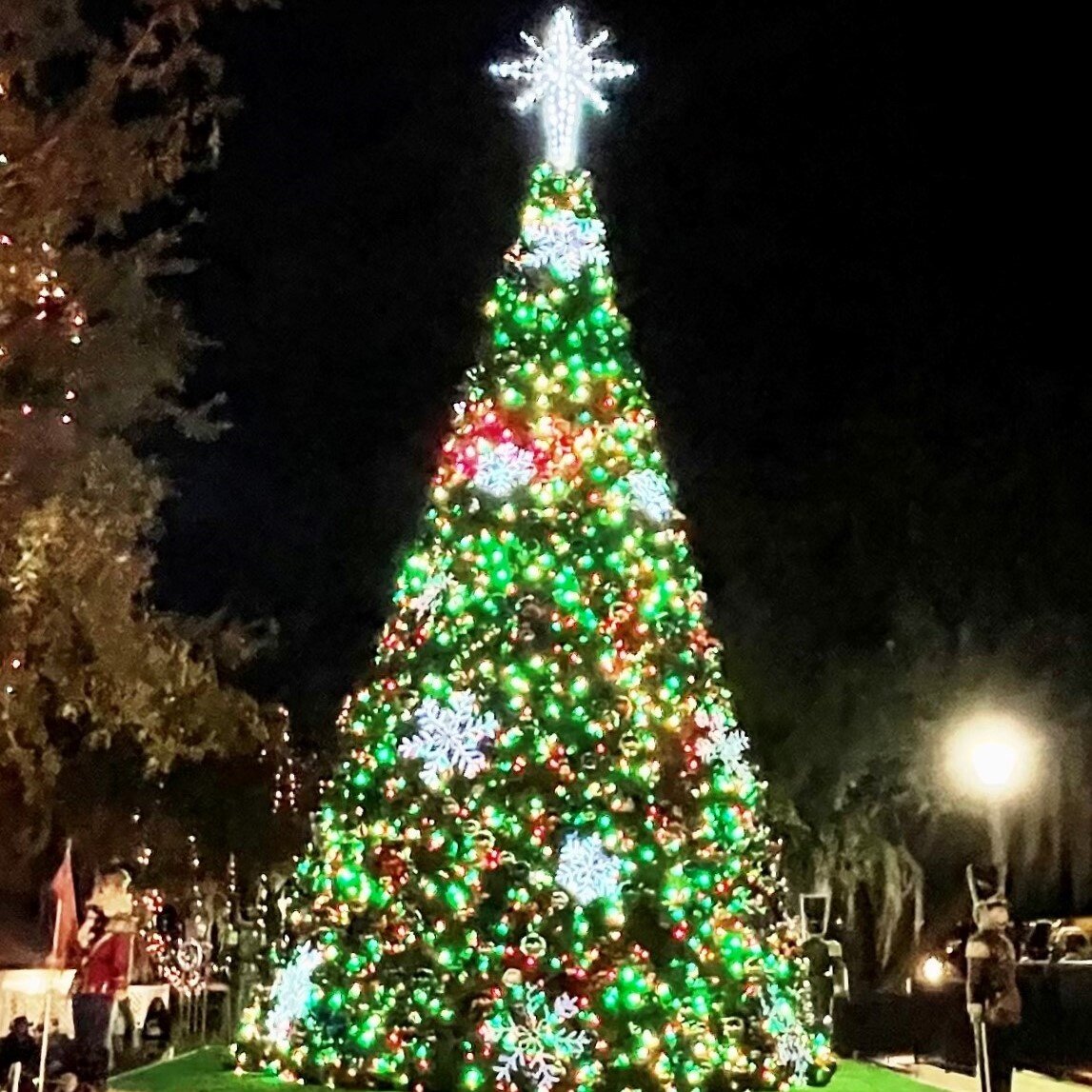 Mountdoratransit Tour Christmas Tree Lights Snowflakes Night