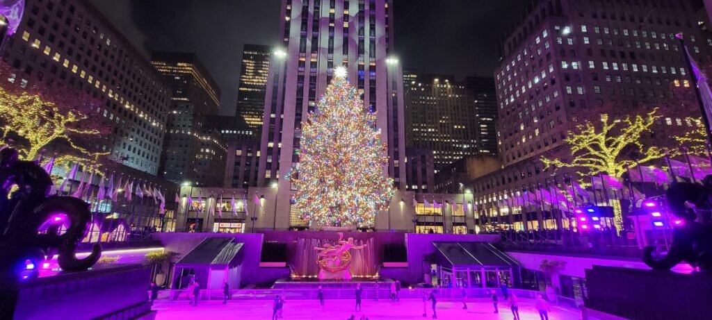Mynytours Tour Ice Skating Christmas Tree Night