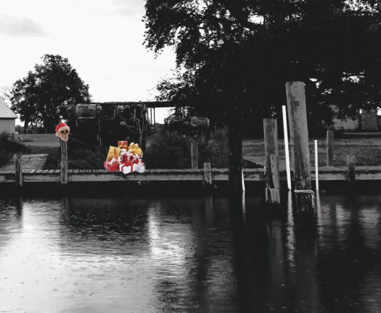 Mysticghostrides Tour Skeleton Gifts Dock River