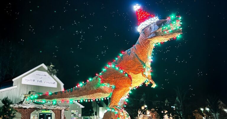 naturesartvillage_tour-dinosaur-christmas-lights-night Naturesartvillage Tour Dinosaur Christmas Lights Night