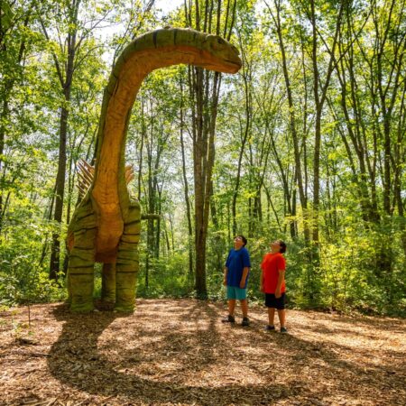 Naturesartvillage Tour Dinosaur Sculpture Forest Walking Trail