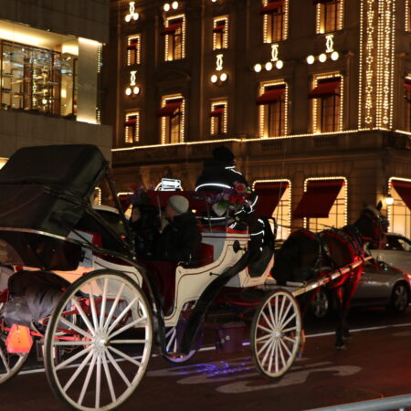 Newyorkcityadventure Tour Carriage Ride Night City Lights
