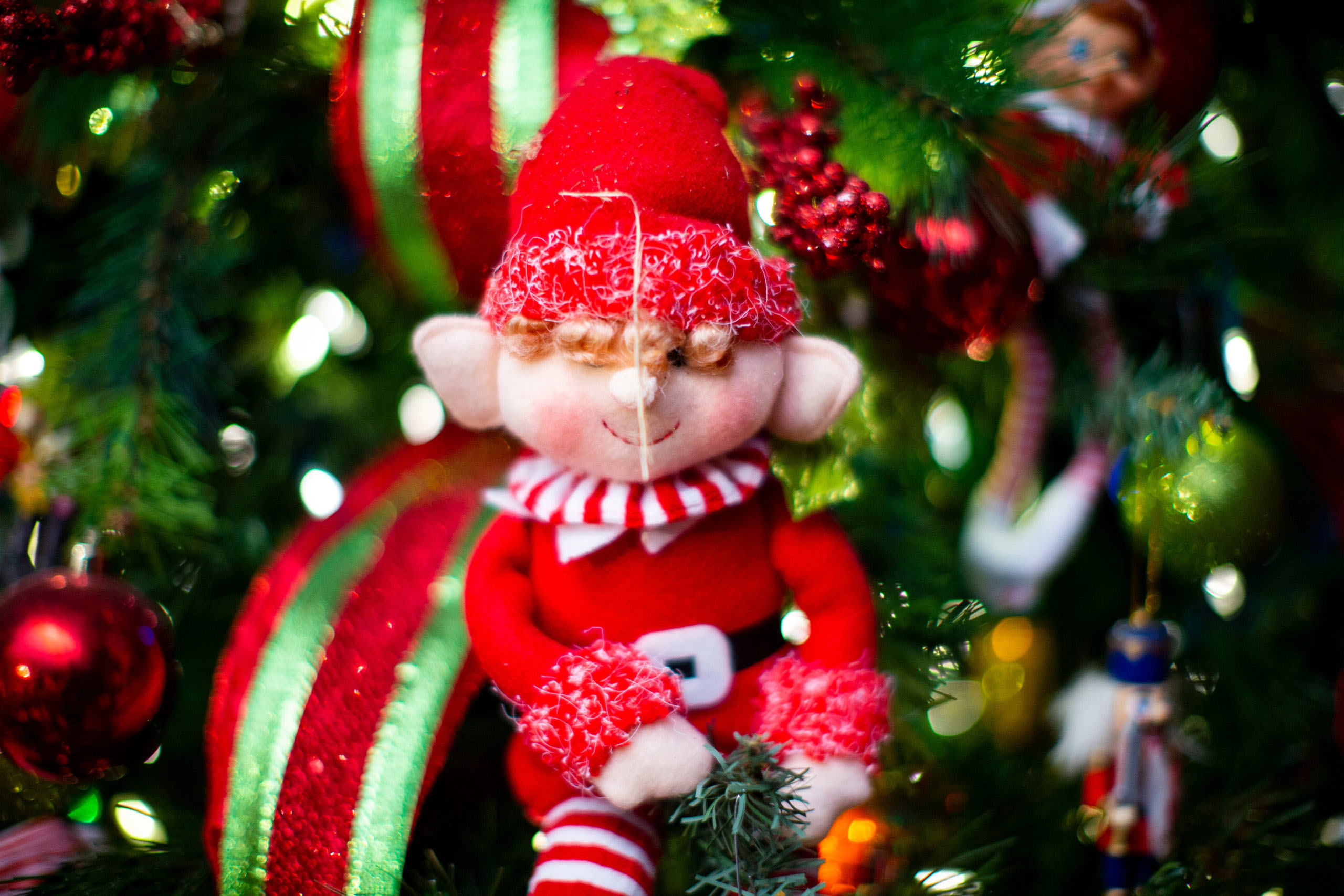 Noccalulafallspark Tour Christmas Elf Decorations Tree