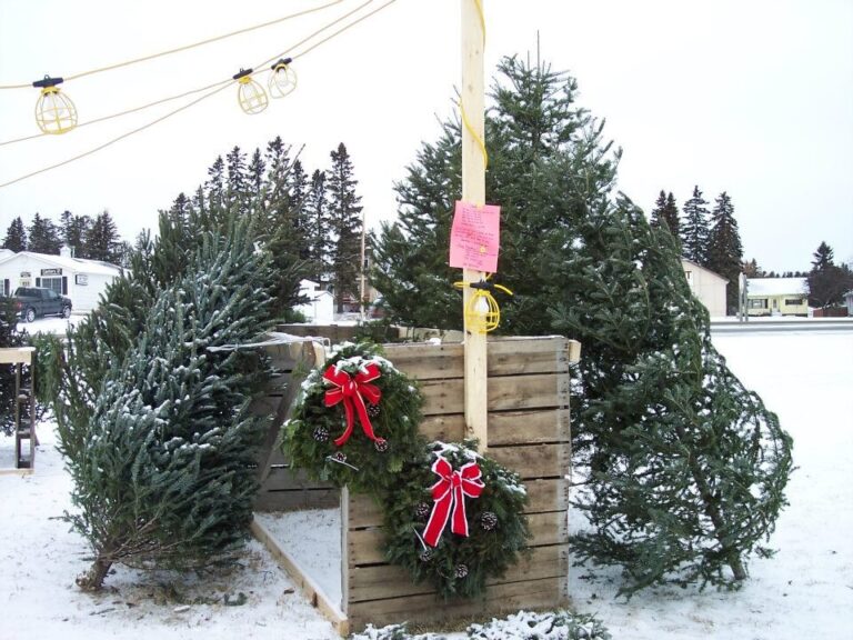 northshorescenicrailroad_tour-christmas-trees-wreaths-snow Northshorescenicrailroad Tour Christmas Trees Wreaths Snow