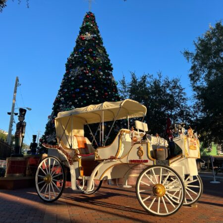 Oldemountdoracarriagecompany Tour Carriage Ride Christmas Tree Brick Path