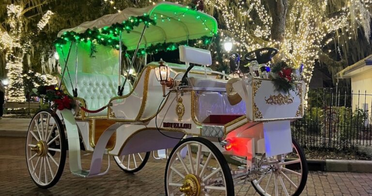 oldemountdoracarriagecompany_tour-decorated-carriage-ride-night Oldemountdoracarriagecompany Tour Decorated Carriage Ride Night