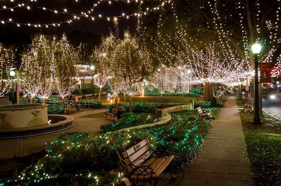 oldemountdoracarriagecompany_tour-park-lit-trees-bench-pathway Oldemountdoracarriagecompany Tour Park Lit Trees Bench Pathway