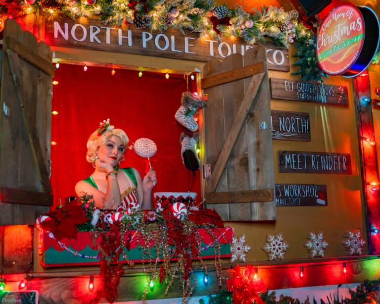 Onceuponanisland Christmas Tour North Pole Tour Co Holiday Decorations 