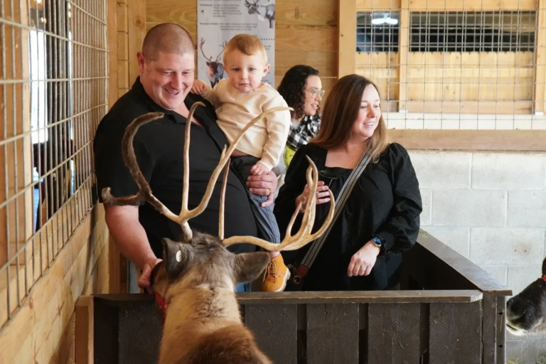 parisdeerpark_tour-family-farm-visit-reindeer Parisdeerpark Tour Family Farm Visit Reindeer