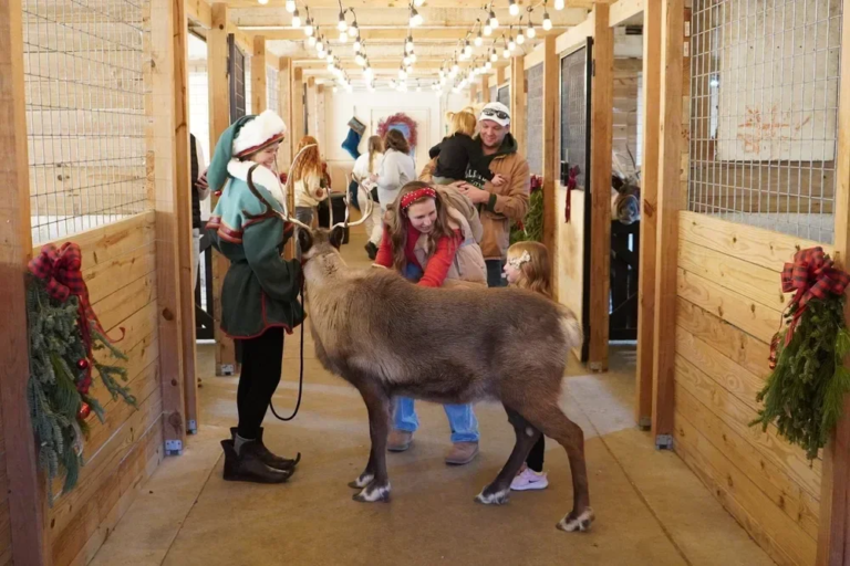 parisdeerpark_tour-reindeer-farm-children-holiday Parisdeerpark Tour Reindeer Farm Children Holiday