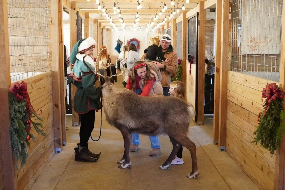 parisdeerpark_tour-reindeer-farm-children-holiday Parisdeerpark Tour Reindeer Farm Children Holiday