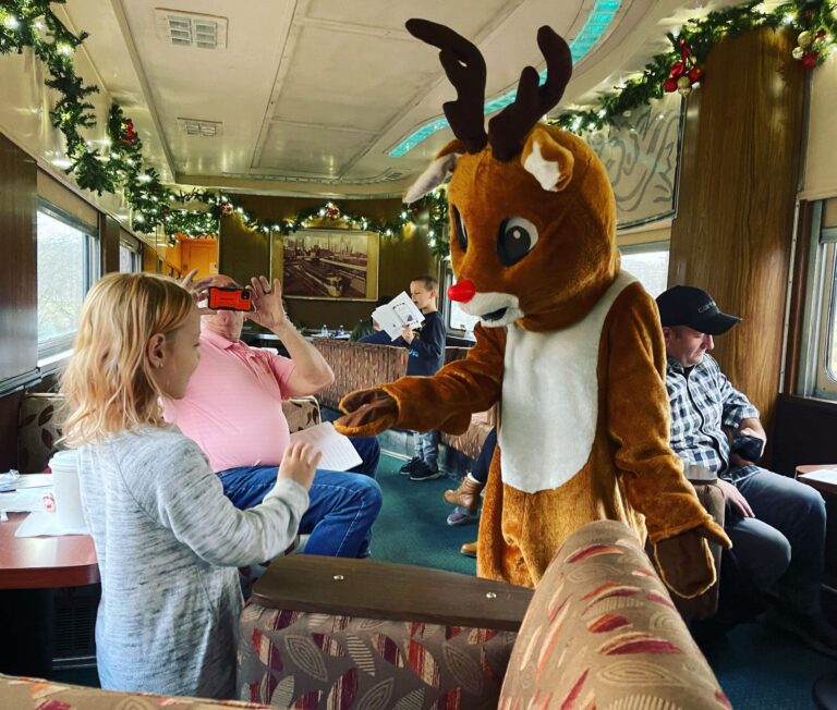 Potomaceagle Tour Train Reindeer Costume Kids