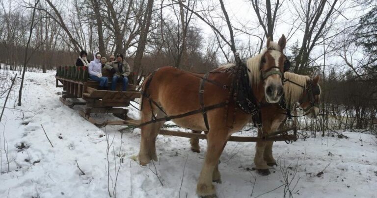 Redridgeranch Tour Sleigh Ride Horses Snow 