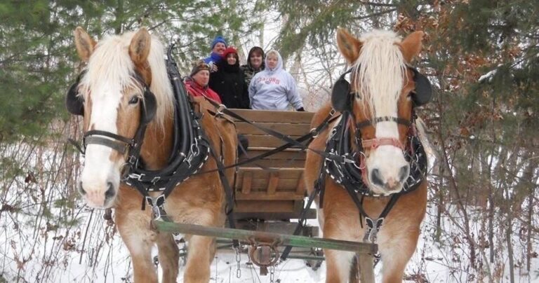 Redridgeranch Tour Sleigh Ride Horses Snow