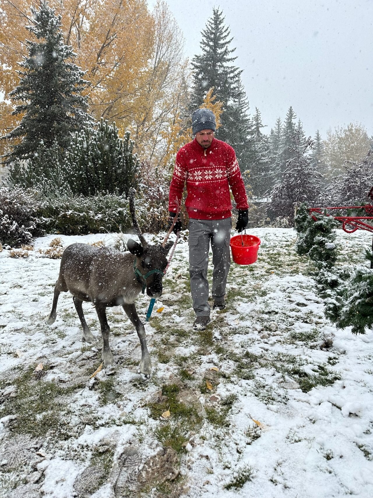 Riverdalereindeer Tour Man Reindeer Snowy Farm