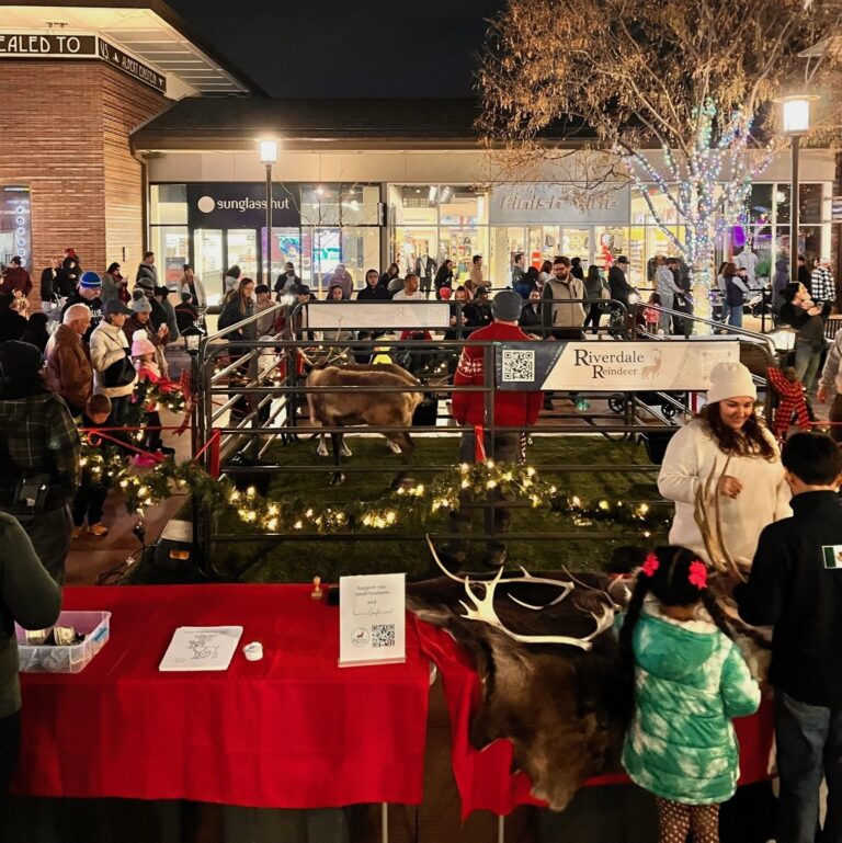 Riverdalereindeer Tour Reindeer Farm Holiday Event