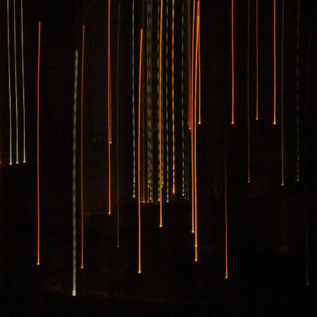 Rlexcursions Tour Light Trails Night Dark