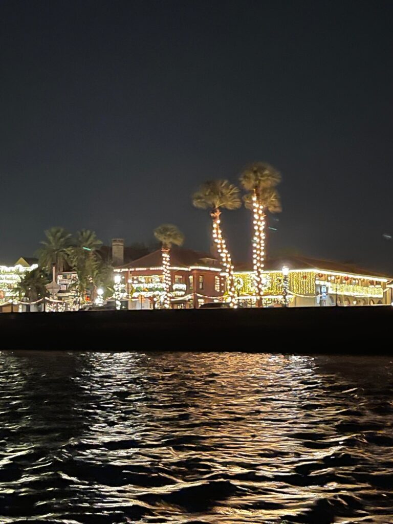 rlexcursions_tour-palm-trees-lit-waterfront-night Rlexcursions Tour Palm Trees Lit Waterfront Night