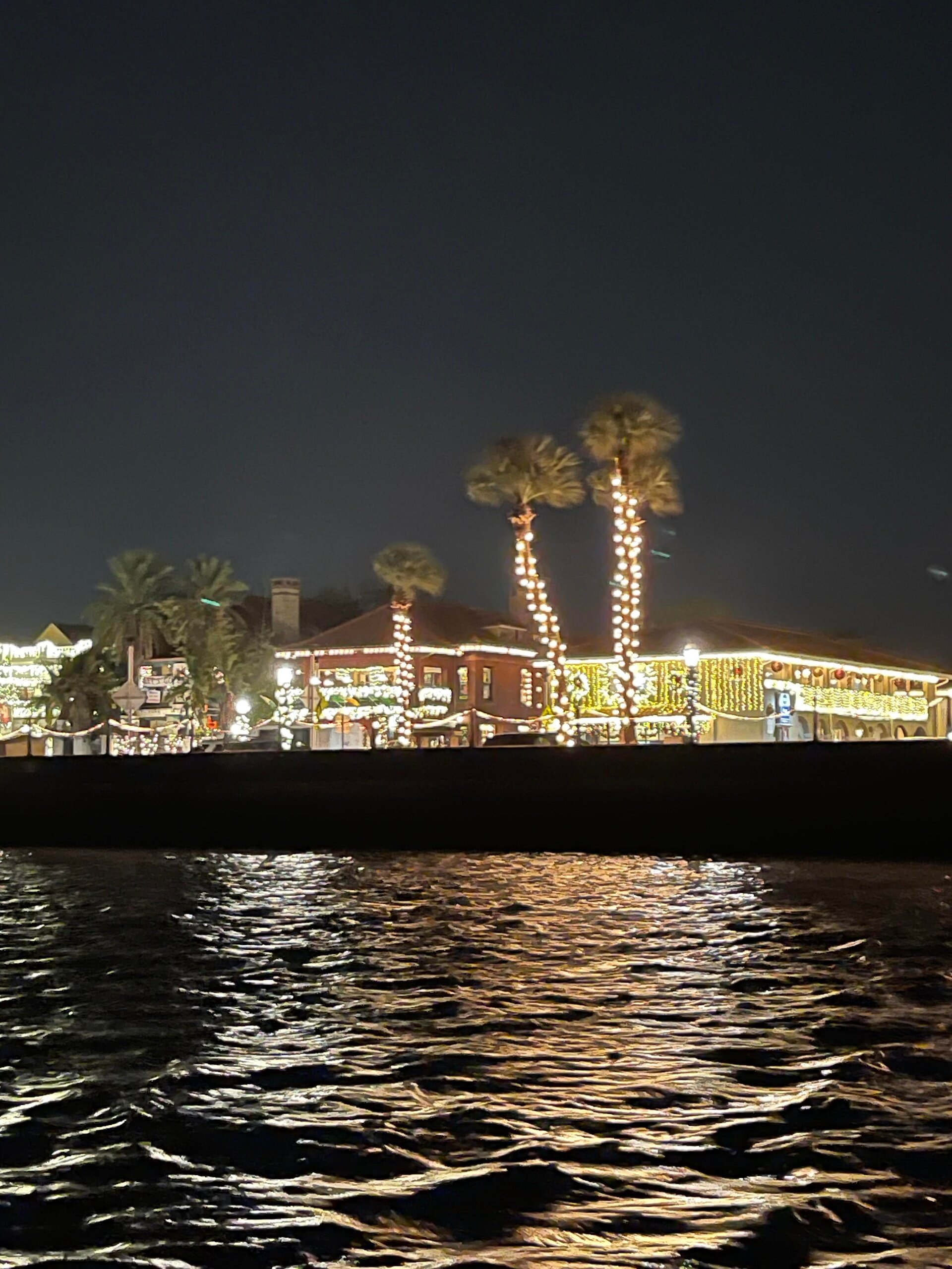 rlexcursions_tour-palm-trees-lit-waterfront-night Rlexcursions Tour Palm Trees Lit Waterfront Night