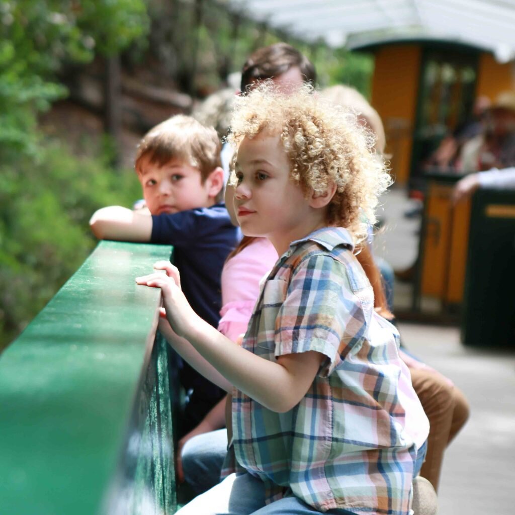 roaringcamp_tour-children-train-ride-green-bench Roaringcamp Tour Children Train Ride Green Bench