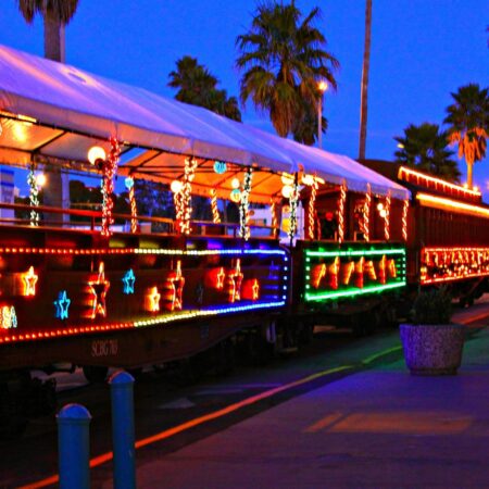 Roaringcamp Tour Decorated Train Palm Trees Night