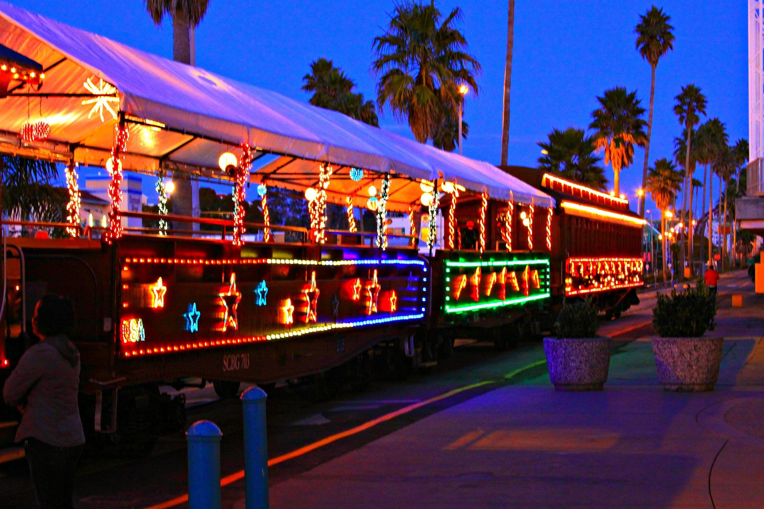 roaringcamp_tour-decorated-train-palm-trees-night Roaringcamp Tour Decorated Train Palm Trees Night