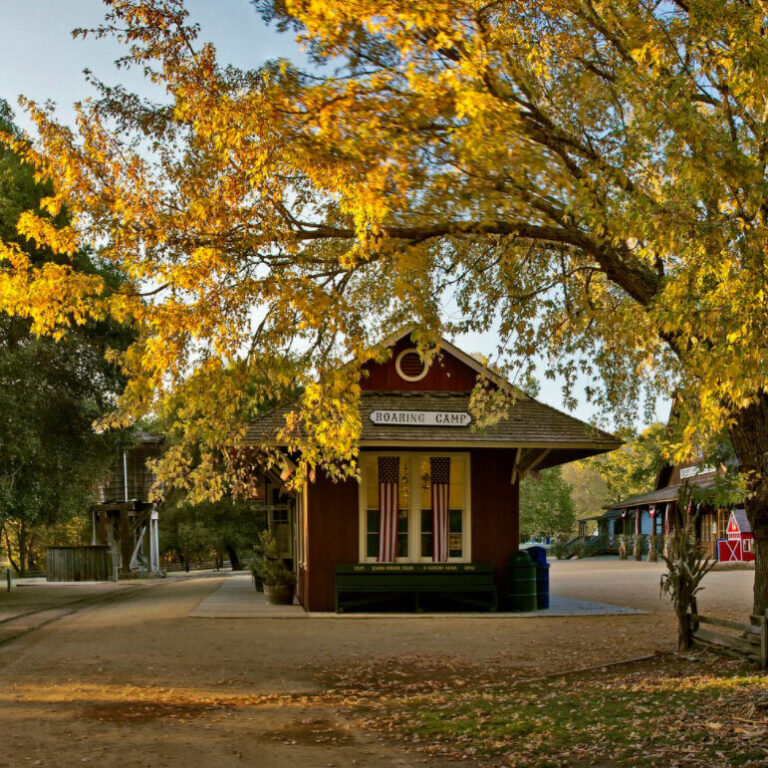 roaringcamp_tour-roaring-camp-train-station-autumn-leaves Roaringcamp Tour Roaring Camp Train Station Autumn Leaves