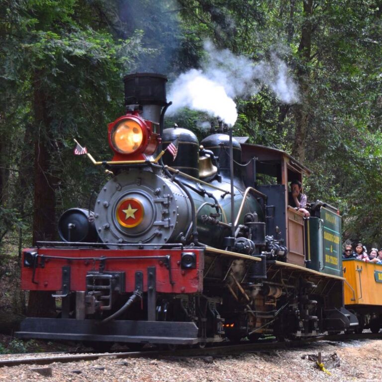 Roaringcamp Tour Steam Locomotive Forest Passengers