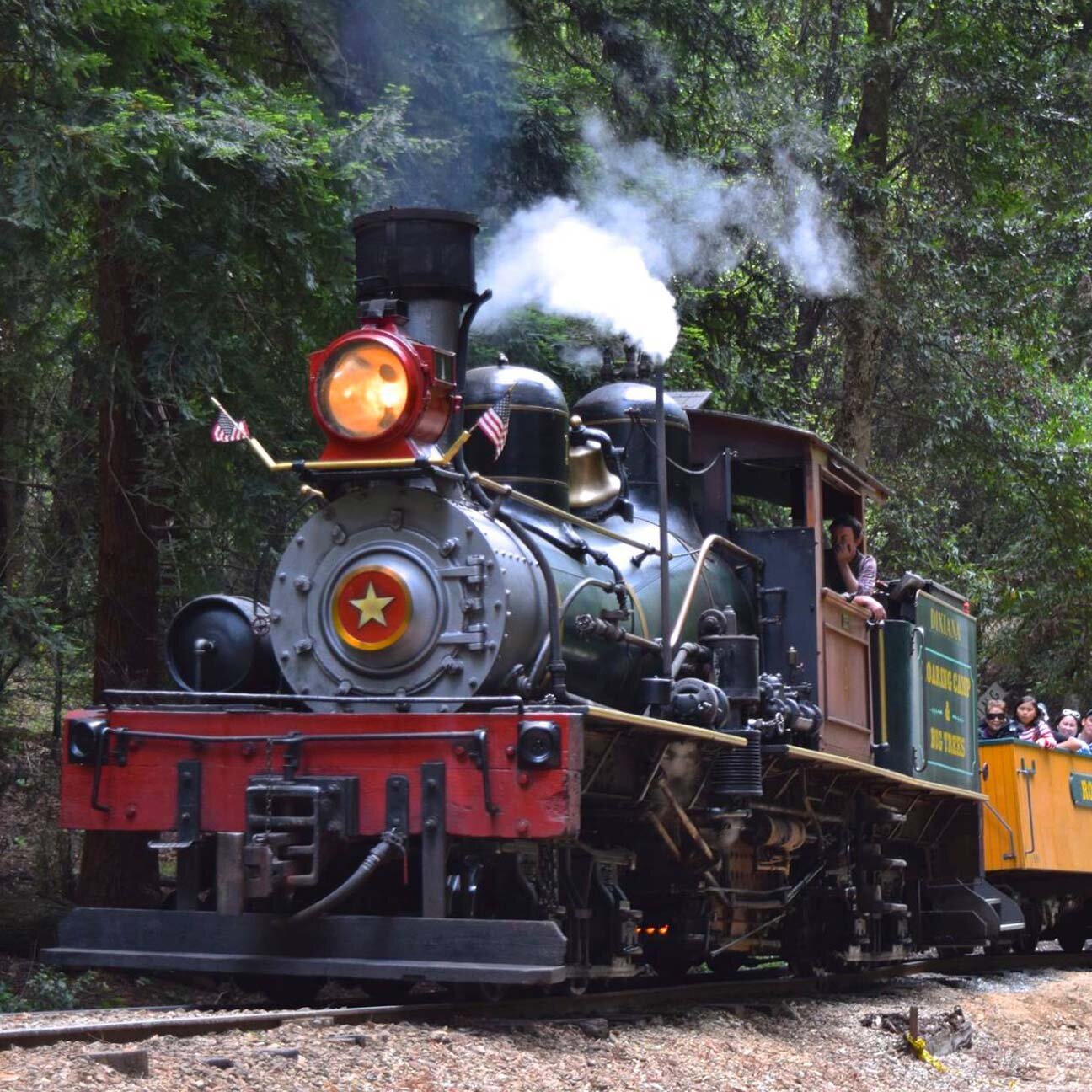 Roaringcamp Tour Steam Locomotive Forest Passengers