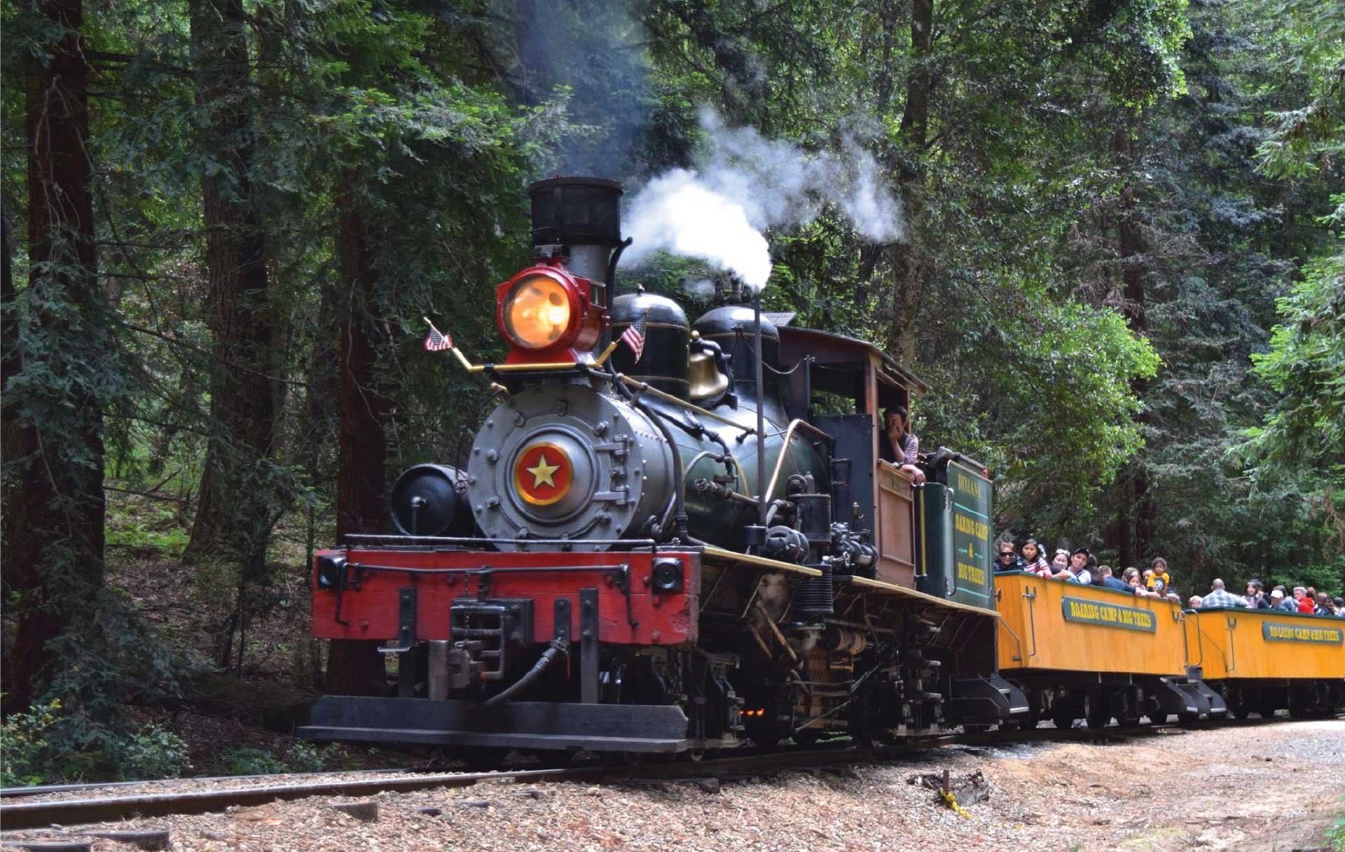 roaringcamp_tour-steam-train-forest-passengers Roaringcamp Tour Steam Train Forest Passengers