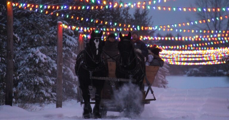 rodenbarnyard_tour-sleigh-ride-horses-festive-lights Rodenbarnyard Tour Sleigh Ride Horses Festive Lights