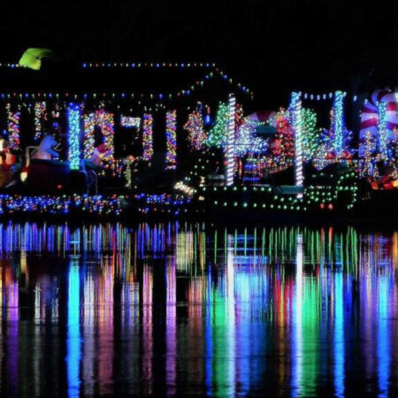 Saltysamscruises Tour Colorful Lights Reflection Water