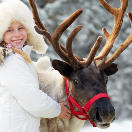 Sawtoothreindeer Tour Girl Reindeer Snowy Background