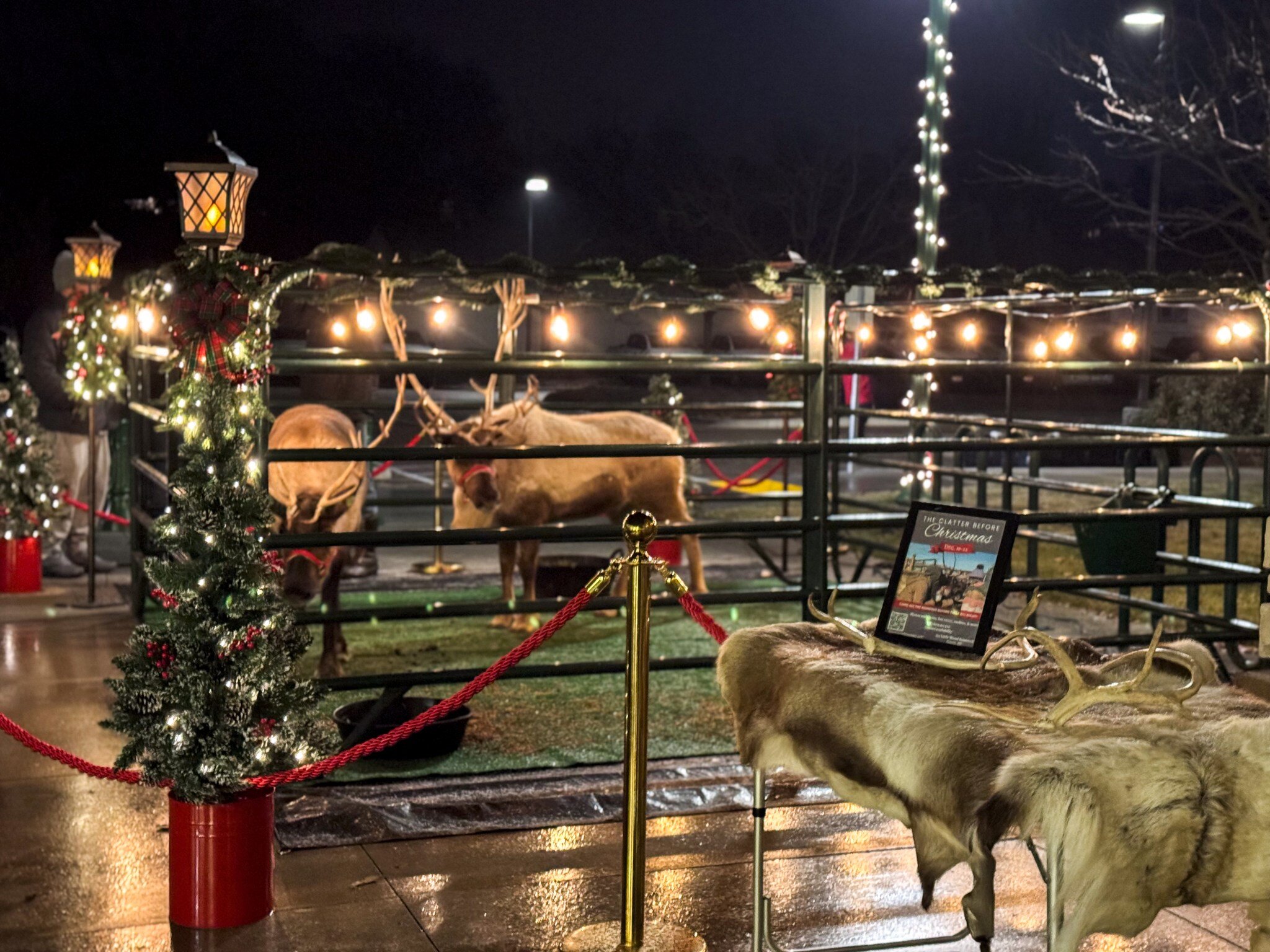 sawtoothreindeer_tour-reindeer-farm-christmas-lights Sawtoothreindeer Tour Reindeer Farm Christmas Lights