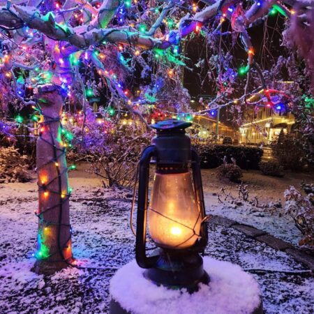 Seasideshadows Mystic Tour Lantern Snowy Tree Christmas Lights