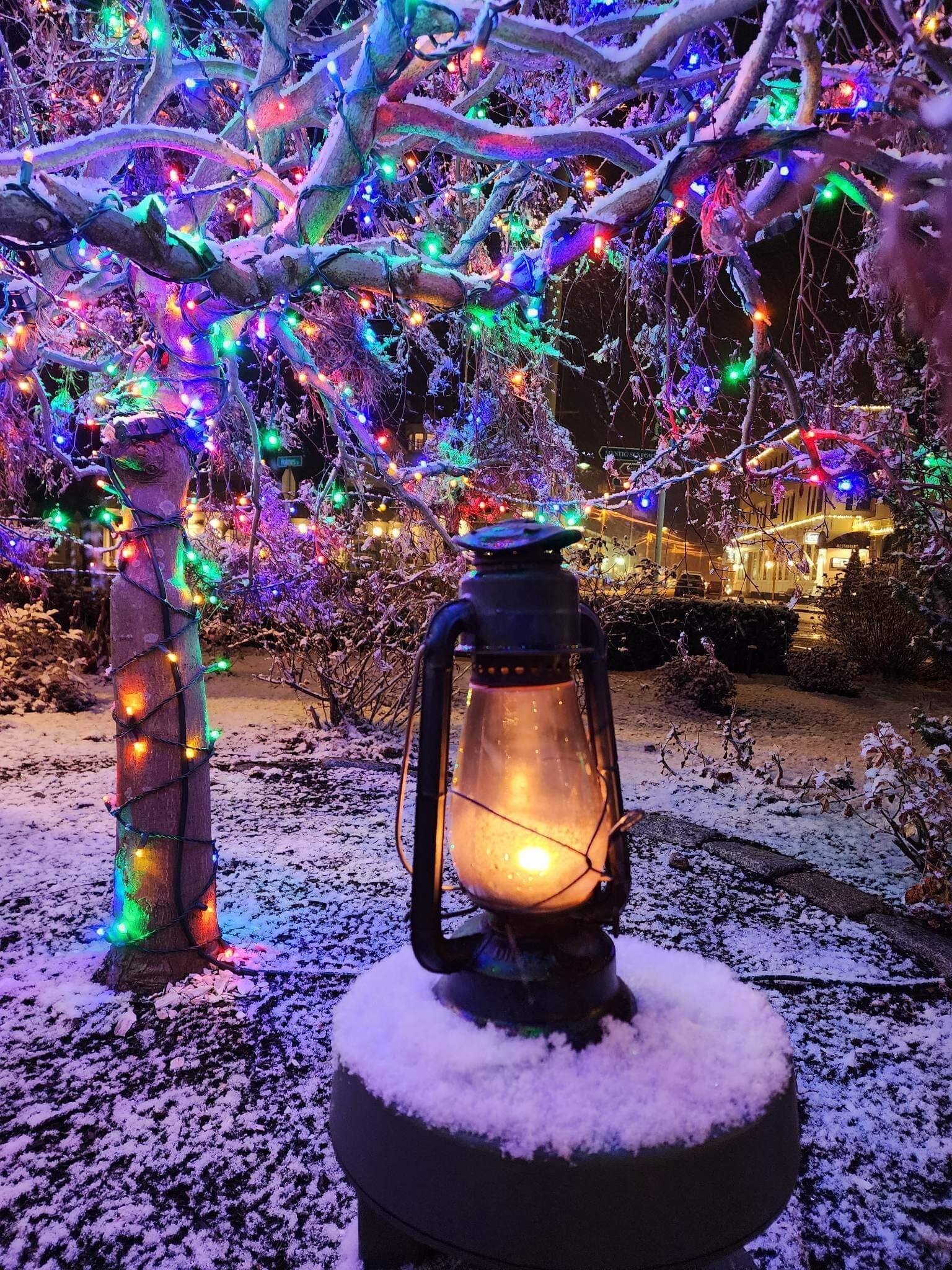 Seasideshadows Mystic Tour Lantern Snowy Tree Christmas Lights