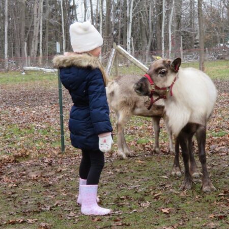 Shortsvillereindeer Tour Girl Reindeer Farm Leaves