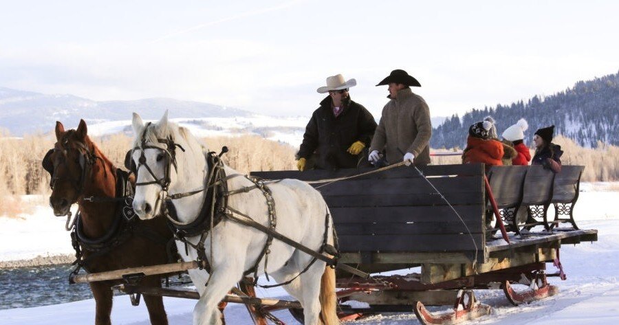 Snakeriverranch Tour Sleigh Ride Horses Snowy Landscape