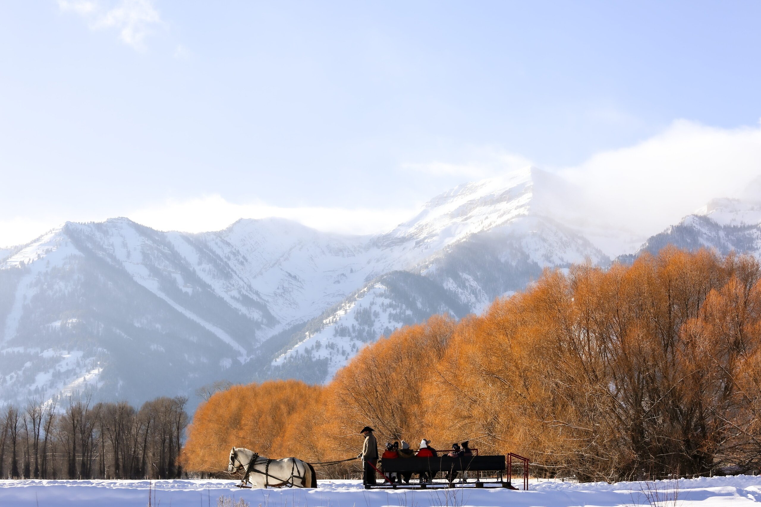 Snakeriverranch Tour Sleigh Ride Snowy Mountains Orange Trees