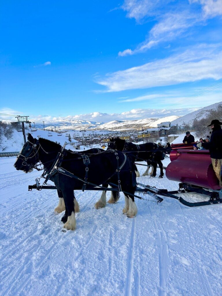 snowedinnsleigh_tour-horses-sleigh-ride-snowy-mountains Snowedinnsleigh Tour Horses Sleigh Ride Snowy Mountains