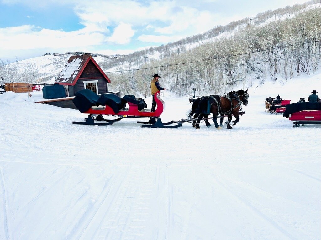 snowedinnsleigh_tour-sleigh-ride-horses-snowy-landscape Snowedinnsleigh Tour Sleigh Ride Horses Snowy Landscape