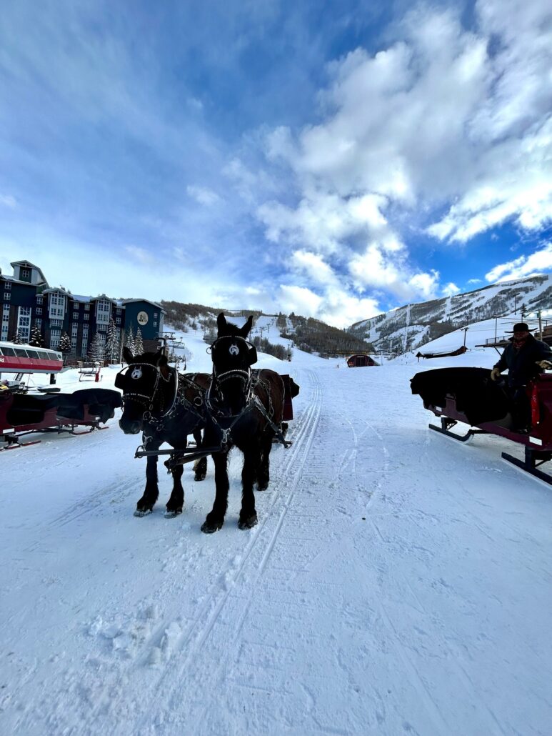 snowedinnsleigh_tour-sleigh-ride-horses-snowy-mountain Snowedinnsleigh Tour Sleigh Ride Horses Snowy Mountain