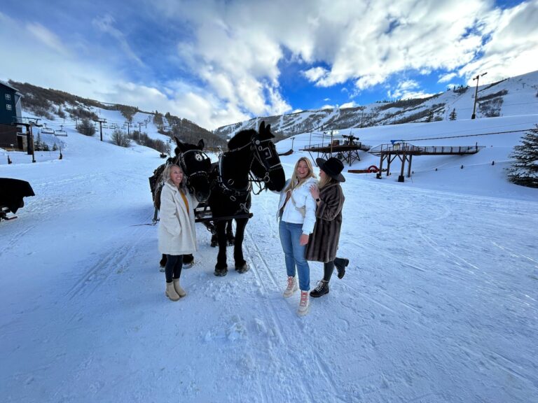 snowedinnsleigh_tour-sleigh-ride-snowy-mountains-horses Snowedinnsleigh Tour Sleigh Ride Snowy Mountains Horses