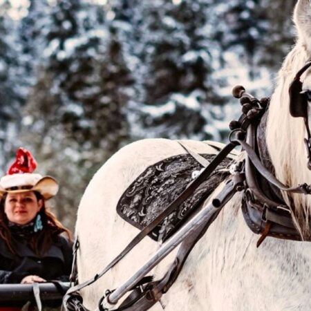Spokanetrailrides Tour Sleigh Ride White Horse Snow