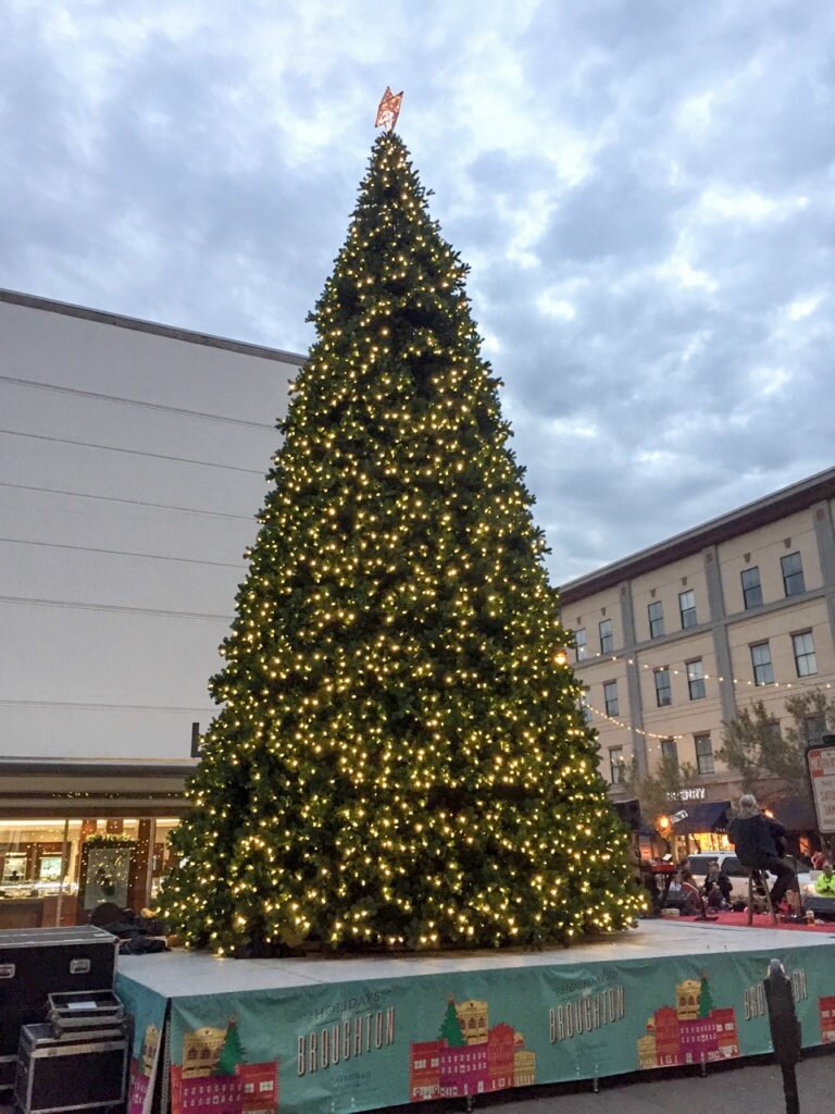 spookysavannahghosttours_tour-christmas-tree-lights-town-square Spookysavannahghosttours Tour Christmas Tree Lights Town Square